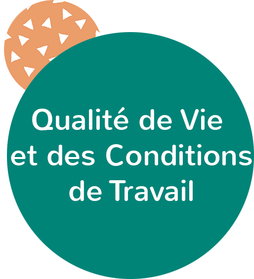 Qualité de Vie et des Conditions de Travail par réseauH